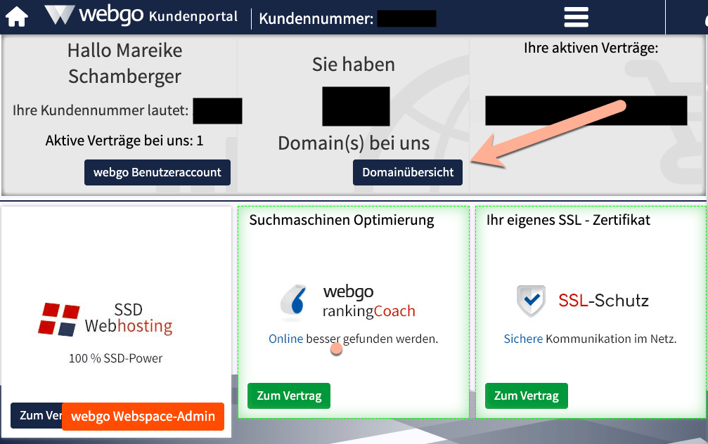 Webgo Hosting Domainübersicht